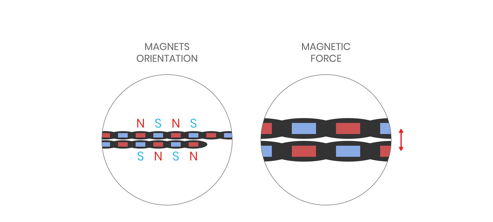 Diagram of alternating magnet polarity along the strap and the resulting magnetic force